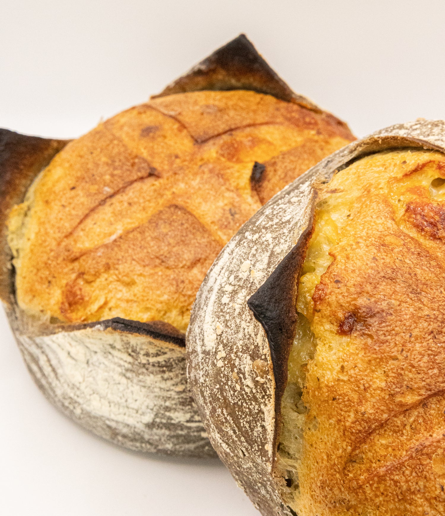 Pain aile des ours comté Maison 1830, boulangerie pâtisserie snacking à Saint-Joseph-de-Rivière et Meilleure Boulangerie des Alpes lors de la Meilleure Boulangerie de France